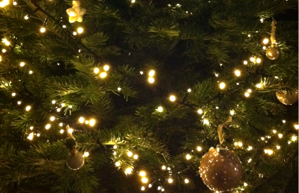 Bild eines Tannenbaums